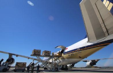 青島國際物理與貨運(yùn)代理公司有什么不同？