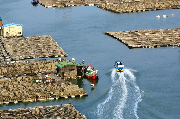 天津貨代行業(yè)在發(fā)展過(guò)程中，逐漸形成了獨(dú)特的服務(wù)特色和優(yōu)勢(shì)