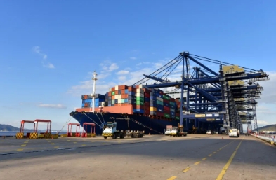 天津貨代公司以優(yōu)質的服務，在全球貿易舞臺上綻放著光芒