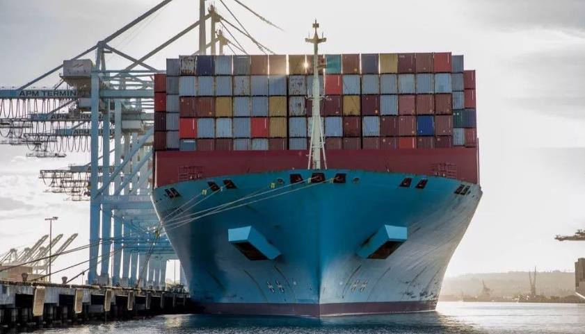 天津國際物流公司