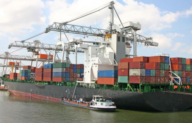 公認進口報關代理公司會采取哪些措施來確保報關服務的專業性？